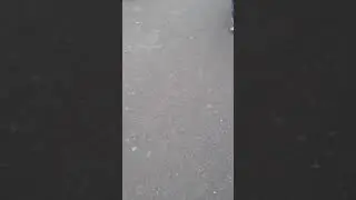 Плил па гораду запах сірені