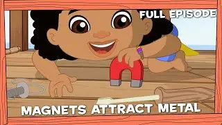 Darwin and Newts | Magnets Attract Metal
