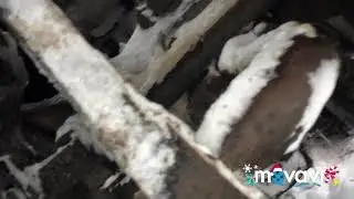 Замена и ремонт заднего стабилизатора МАЗ