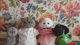 что в рюкзаке у басиков