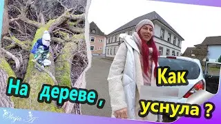 Влог/ Спонтанная прогулка по Французскому лесу.