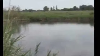 Родина моей мамы.