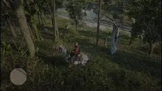 RDR 2 Free Roam