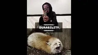 @VaderXEditzYT vs The Fox (Remastered)