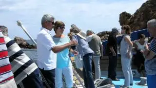 FESTA2014   01