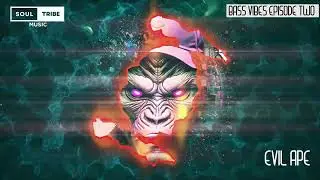 Soultribe Music - Bass Vibes ep 02 with Evil Ape & Guest mix from Stodius