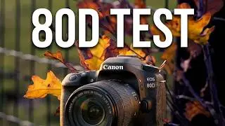 Canon 80d  18-135mm video test
