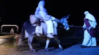 The Miracle of Christmas - Live at the Zoo