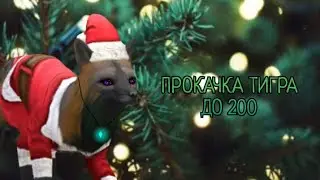 ПРОКАЧКА ТИГРА ДО 200 ПЕРЕД НОВЫМ ГОДОМ! | WildCraft