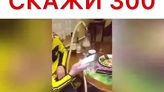 Алиса, скажи 300