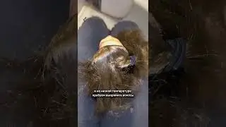 Восстанавливаем Братц