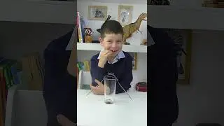 Как удержать вилки на краю стакана? 