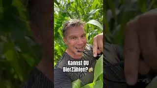 #gewinnspiel Wie oft kommt das Wort BIER im neuen Song vor? #bierzählt #party #bier #oktoberfest