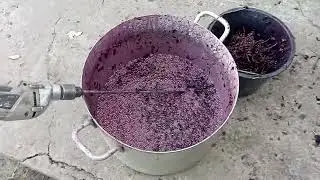 Как сделать домашнее вино с винограда первый этап!