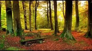 Tom Day - Going Home