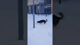 #любовь #семья