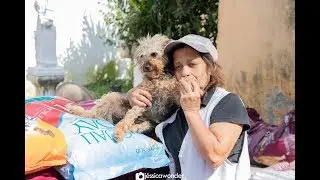 Projeto Social Get a pet