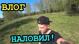 ВЛОГ: РЫБАЛКА 🐟🐬