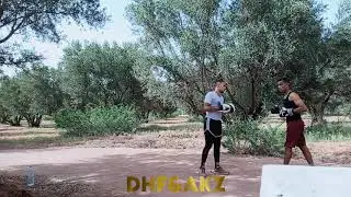 DHF - boxing training workouts for beginners