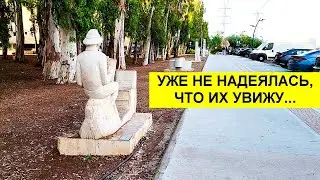 903.На прогулке со мной.Находка.Израиль в цвету