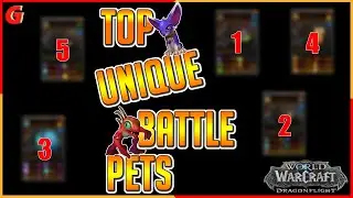 Top FIVE Unique World of Warcraft Battle Pets ? 😲
