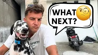 Daily Life in Bali: Dreamland Beach, Pet Adventures & Honest Thoughts on Being a YouTuber!