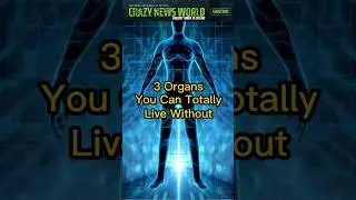 3 Organs You Can Totally Live Without! 😱 #shorts