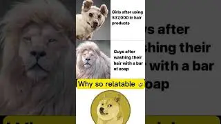 Reality is sometimes harsh, girls. #memes #doge #shorts #meme #dogememe #funny
