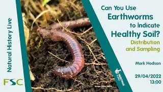 Can You Use Earthworms To Indicate Healthy Soil? Distribution & Sampling