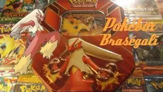 Ouverture de la Pokébox Braségali EX - Un entrainement ardent !