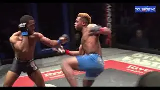 The Brutal Knockouts In MMA 2022
