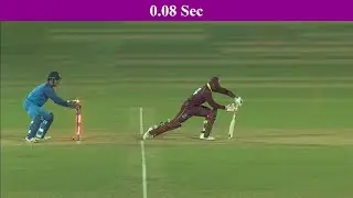 20 Quick Stumping In Cricket Ever 🔥