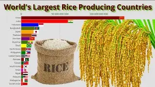 World’s largest Rice Producing Countries 1960-2020.