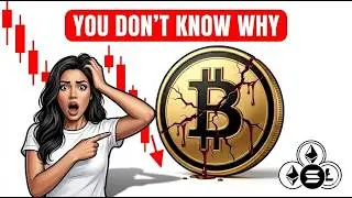 Your Crypto Portfolio Is Bleeding and You Don't Even Know Why