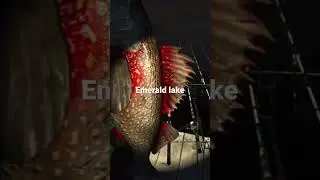 #fishingplanet