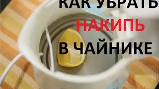 Как убрать НАКИПЬ в чайнике?