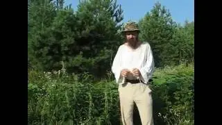 16 07 28 крапива Лечение радикулита за 3 дня.