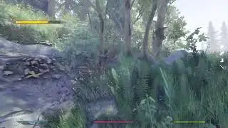 2023 SKYRIM SE Parallax 4K Photorealistic Forests with RayTracing 3
