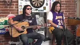 Tribal Seeds - 