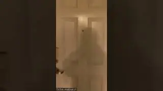 What would YOU do in this situation??
