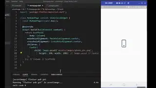 How to Add Image in Flutter Project? | Flutter