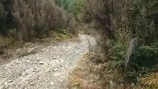 KZJ78 Prado offroad up rock steps at Big River Reefton