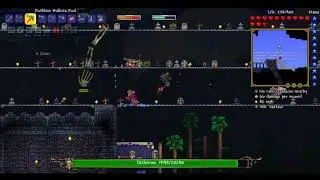 Terraria Calamity Mod: Death Mode - Skeletron Summoner No-hit