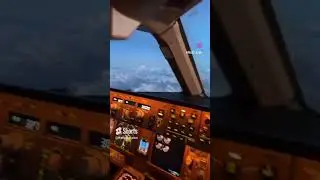 The best pilot motivation✈️💫beautiful😍girl pilot viral video🤩 #shorts #whatsapp #pilot #viralshorts