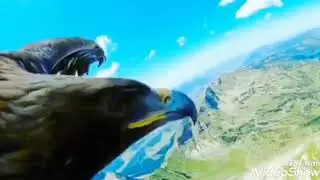 Наш Кавказ