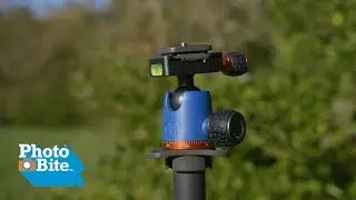 #TheMeasure