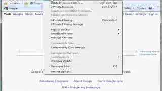 Clear IE Cache: Gaia Fishing Blue-screen fix