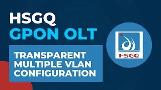 HSGQ GPON OLT Tutorial - Transparent Multiple VLAN Configuration | HSGQ OLT Configuration