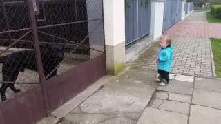 Nebojím se vlka nic