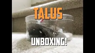 TarheelAnts: Talus Formicarium Unboxing + Setup